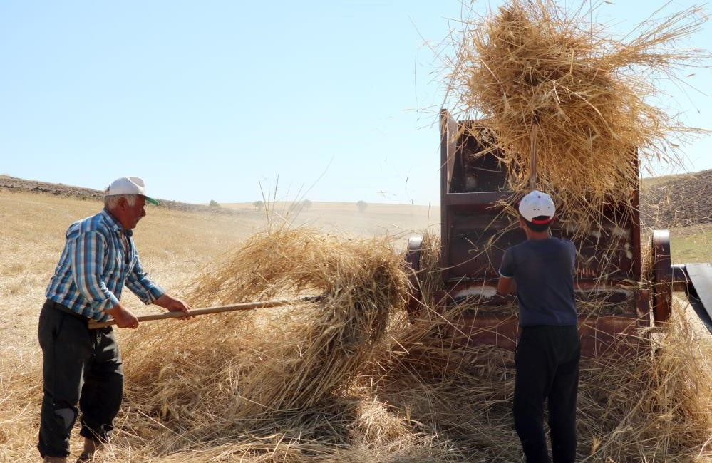 Erzincan’da tarım ve hayvancılıkla uğraşan köylüler, 35 derece sıcaklığın altında