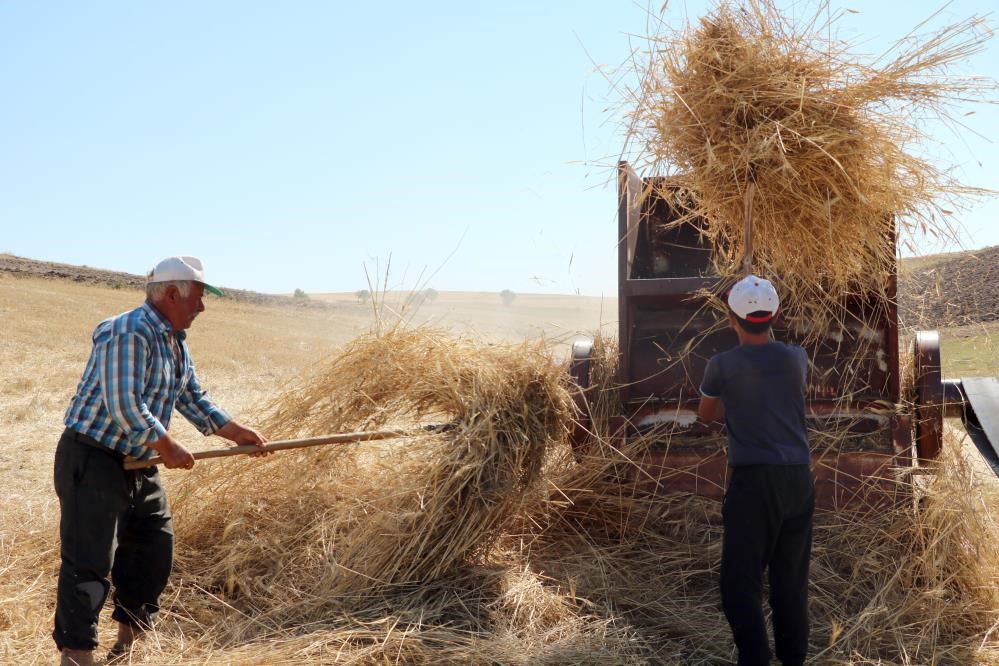 Erzincan’da tarım ve hayvancılıkla uğraşan köylüler, 35 derece sıcaklığın altında