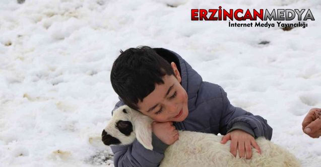 Erzincan’da yaşayan 5 yaşındaki çocuk, yeni doğan kuzuları biberon ile