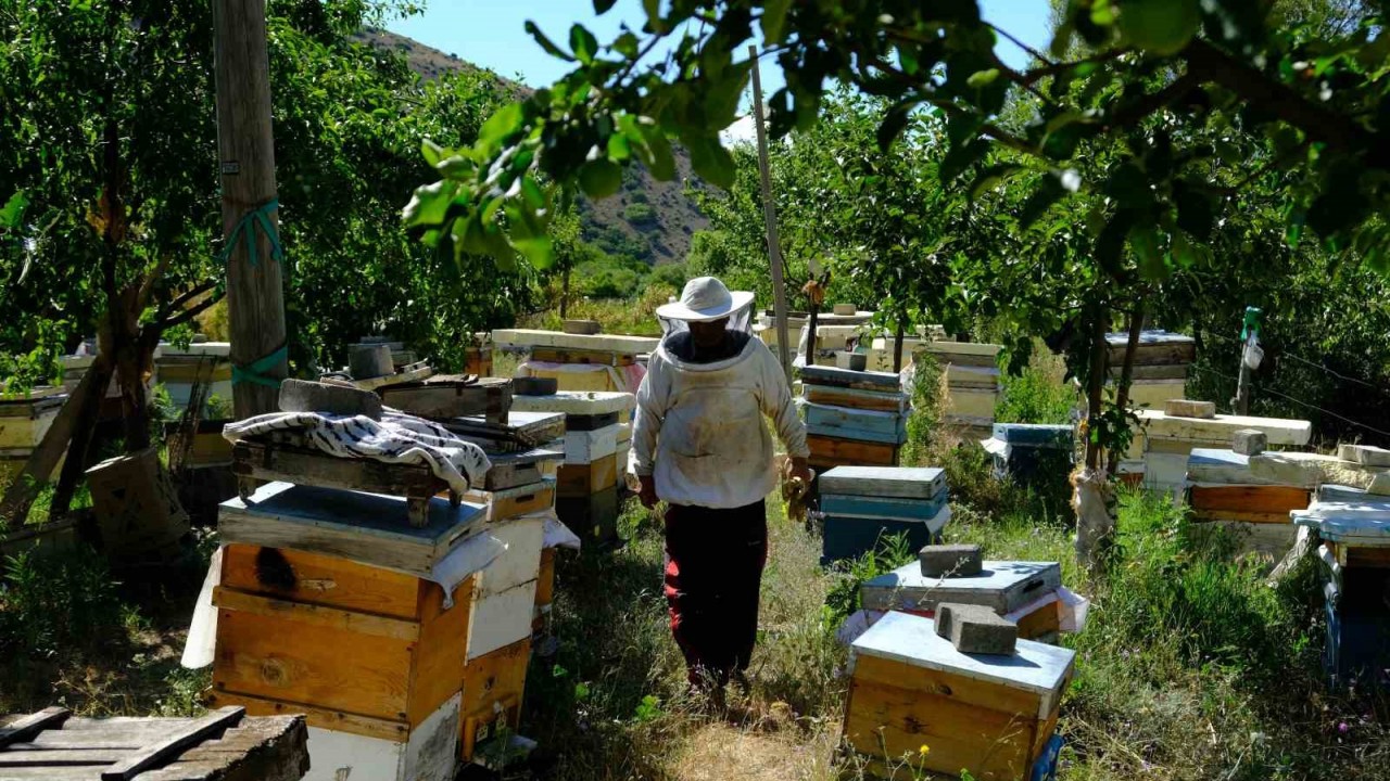 Zengin bitki örtüsüne sahip Erzincan’ın yaylalarında ve köylerinde arıcılık yapan