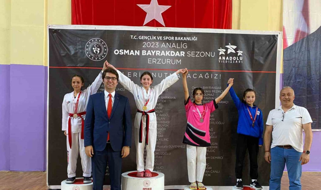 Taekwondo Analig Grup müsabakaları Aşkale ilçe Kapalı spor salonunda başladı.