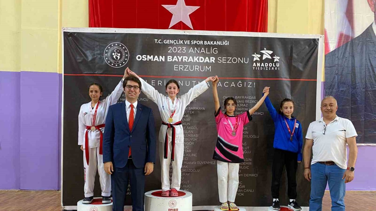 Taekwondo Analig Grup müsabakaları Aşkale ilçe Kapalı spor salonunda başladı.