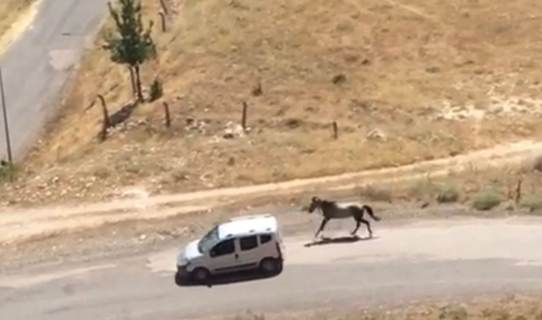 ELAZIĞ’IN PALU İLÇESİNDE ÖN