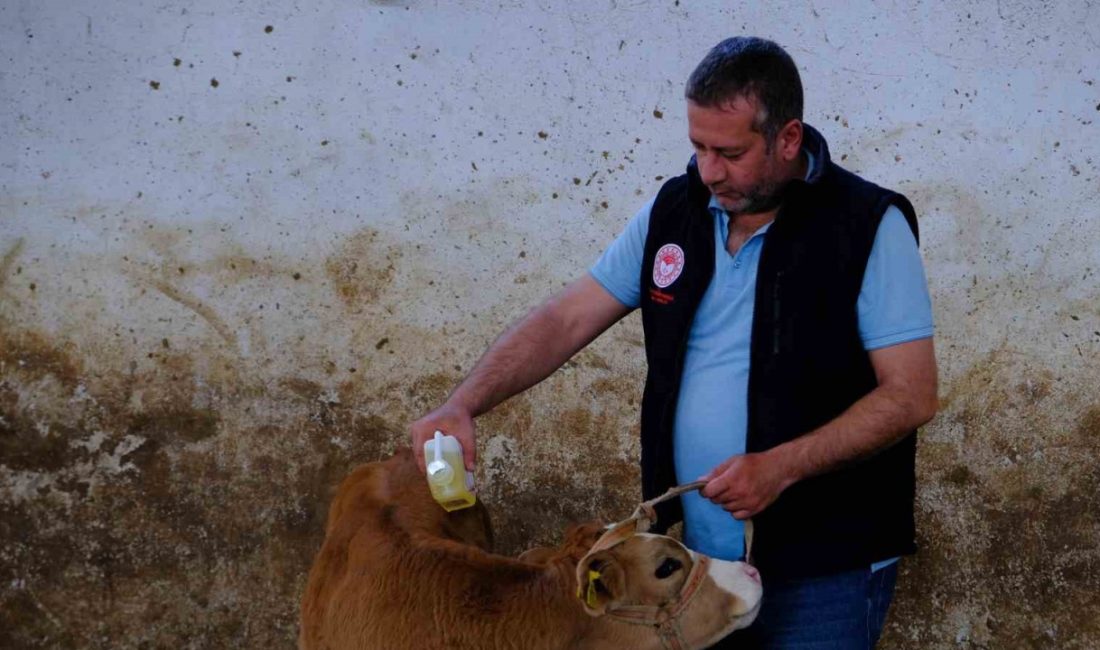 Erzincan Tarım ve Orman İl Müdürlüğüne bağlı Hayvan Sağlığı, Yetiştiriciliği