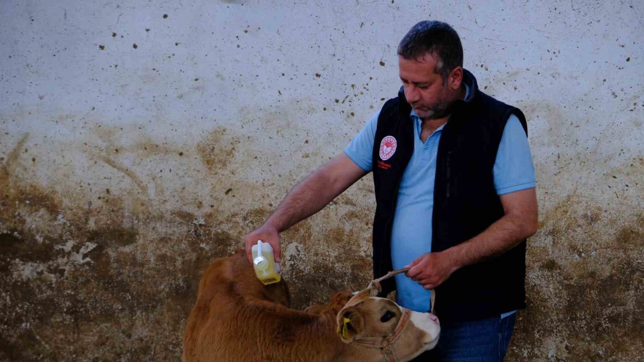 Erzincan Tarım ve Orman İl Müdürlüğüne bağlı Hayvan Sağlığı, Yetiştiriciliği