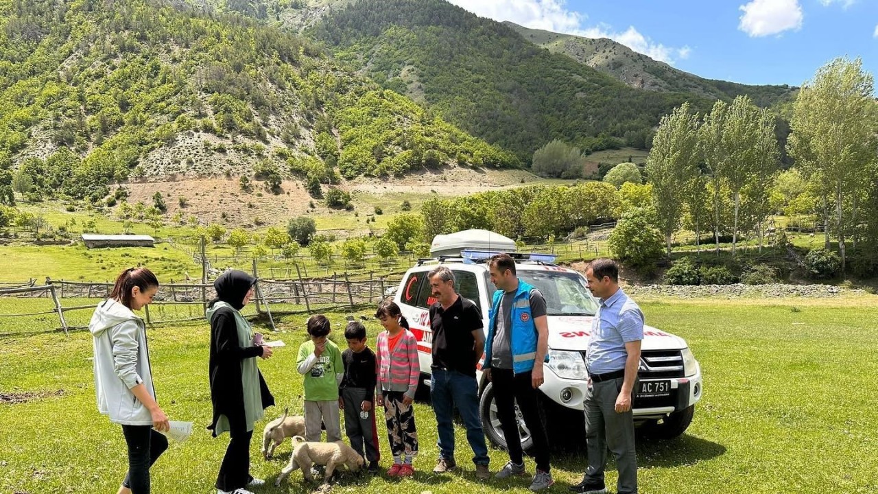 HAVALARIN ISINMASIYLA KENE POPÜLÂSYONUNDA ARTIŞ OLDUĞU VE KENE ISIRMASI SONUCU