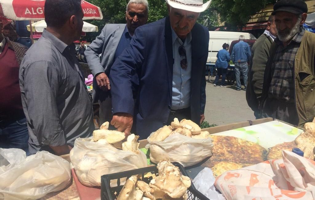 Erzincan’da bahar mevsimiyle birlikte hava sıcaklıklarının artmasının ardından vatandaşlar doğada