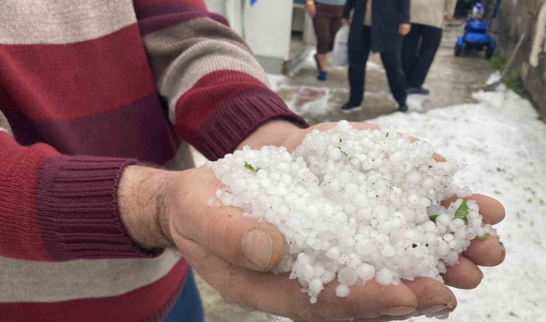 Erzincan’ın Kemaliye ilçesinde etkili olan dolu yağışı günlük yaşamı olumsuz