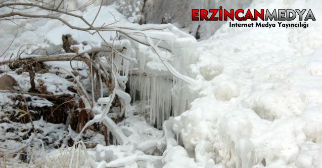 Dondurucu soğuk havanın etkili olduğu Erzincan adeta buz kesti.