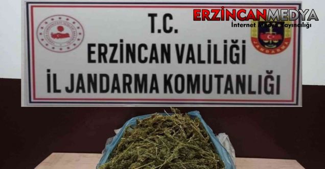 Erzincan’da jandarma ekiplerince yapılan yol uygulamasında, yolcu otobüsündeki yolcunun çantasında