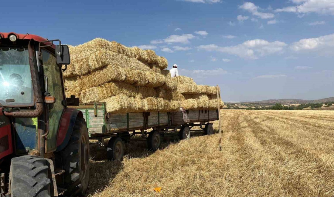 Erzincan’da saman balyasının adeti 15 liradan basılırken, çiftçiler kıraç arazilerde