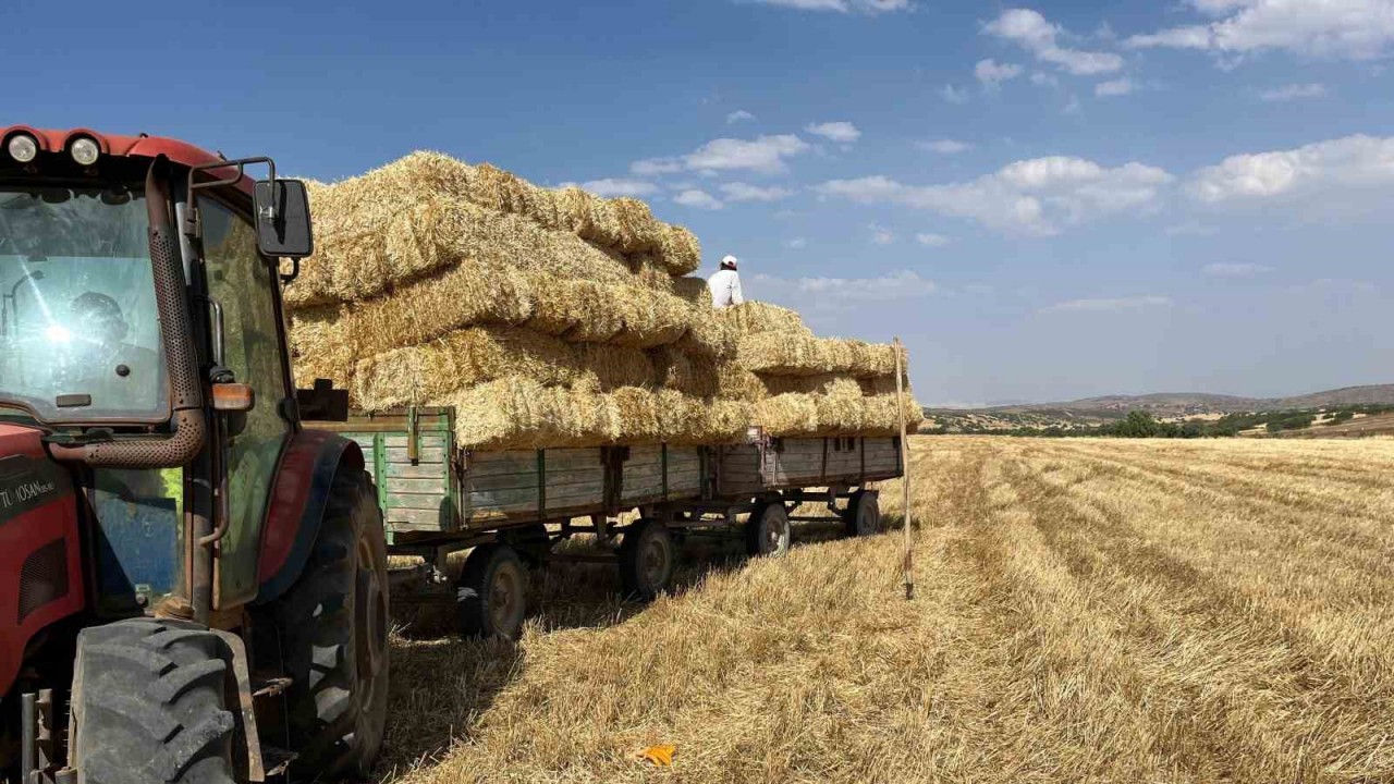 Erzincan’da saman balyasının adeti 15 liradan basılırken, çiftçiler kıraç arazilerde