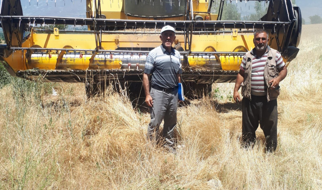 Erzincan İl Tarım ve Orman Müdürlüğü ekipleri yeni başlayan hububat