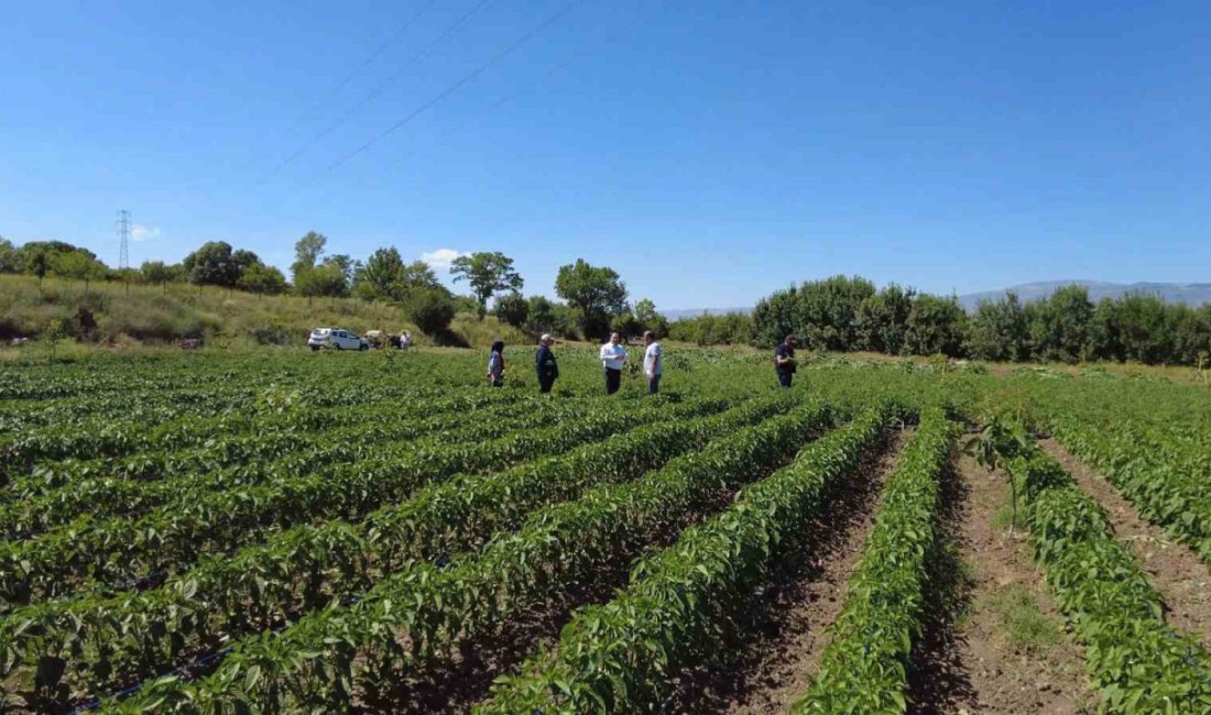 Erzincan’da Tarım ve Orman Bakanlığı Bitkisel Üretim Genel Müdürlüğü projeleriyle