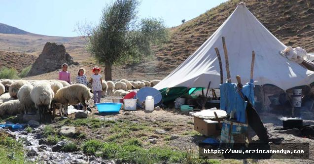 Yaz aylarında sürüleriyle Erzincan’daki yaylalarda konaklayan göçerler, sonbaharın gelmesi ve