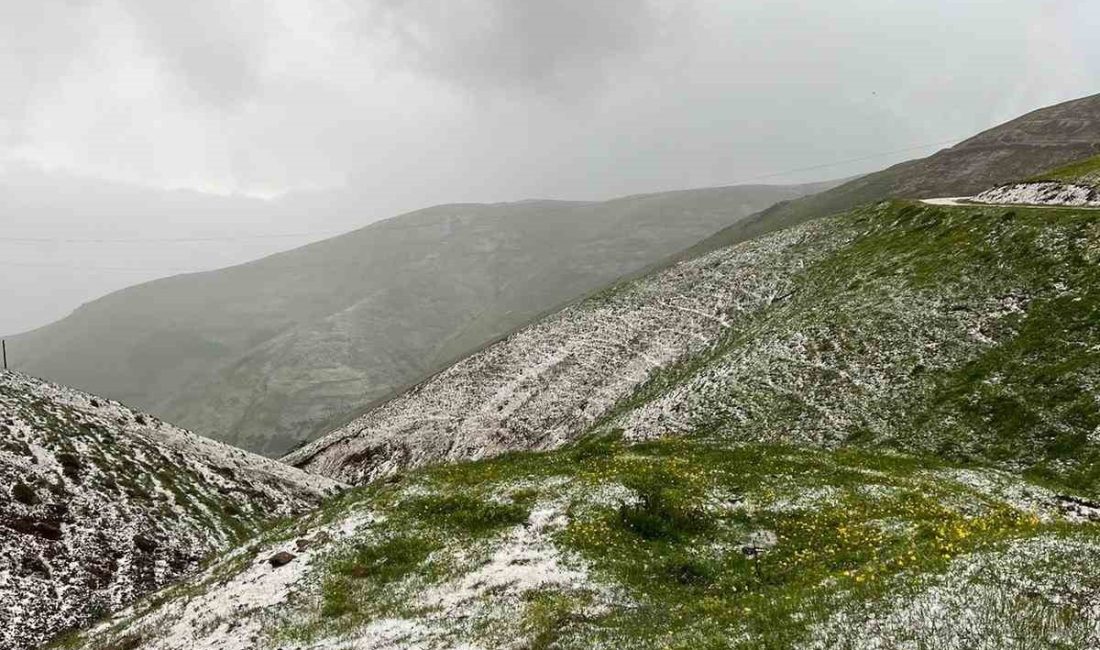 Erzincan’ın İliç ilçesinde sağanak ve dolu yağışı etkili oldu.