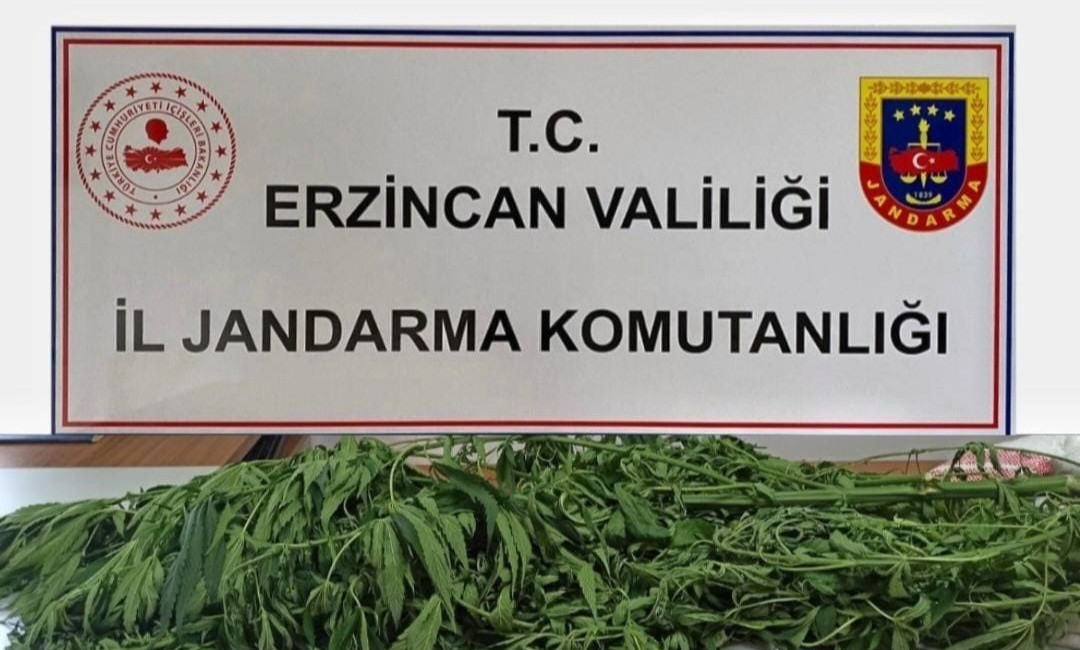 Erzincan İl Jandarma Komutanlığı ekipleri 2023 Temmuz ayı içerisinde yapılan