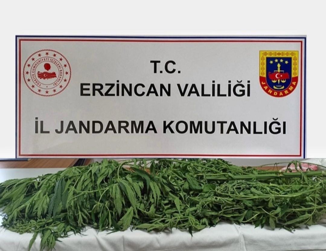 Erzincan İl Jandarma Komutanlığı ekipleri 2023 Temmuz ayı içerisinde yapılan