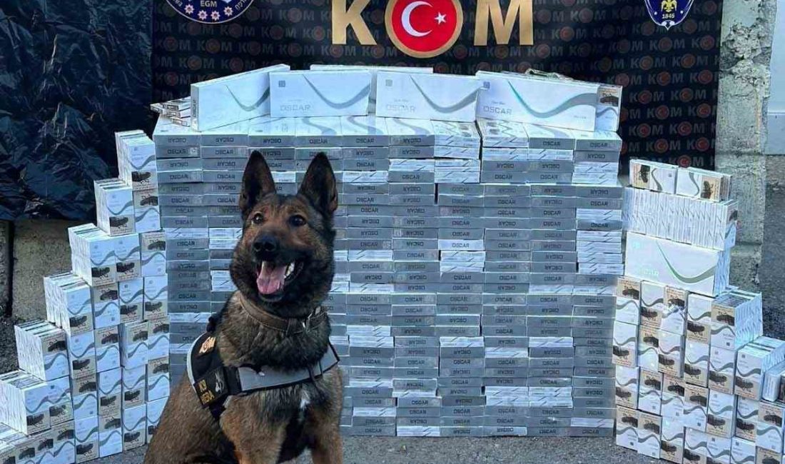 Erzincan’da yolcu otobüsünde 3 bin 400 paket kaçak sigara ele