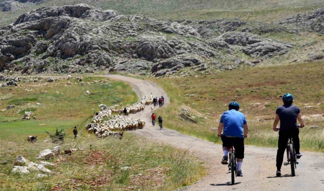 44. Uluslararası Erzincan Kemaliye (Eğin) Kültür ve Doğa Sporları Şenliği