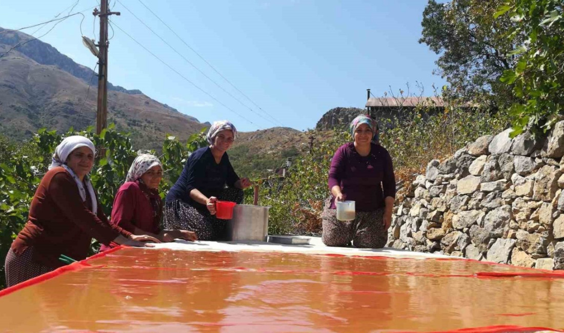 Dutun önemli geçim kaynağı olduğu Erzincan’ın Kemaliye ilçesinde kadınlar, zorlu