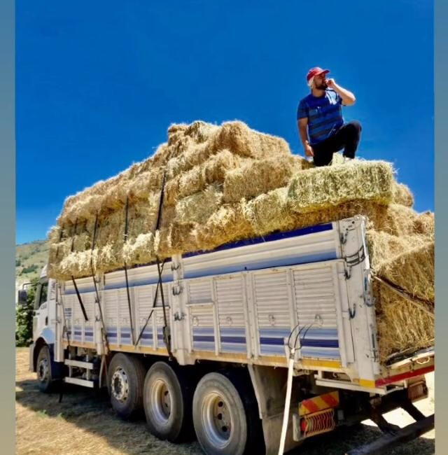 Erzincan’da   çiftçiler de kış aylarında hayvanların beslenmesi için kullanacakları