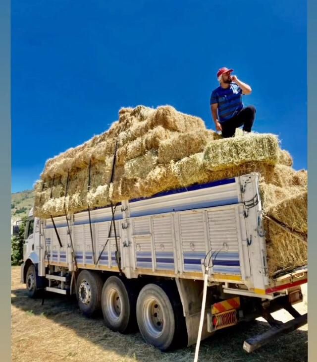 Erzincan’da   çiftçiler de kış aylarında hayvanların beslenmesi için kullanacakları