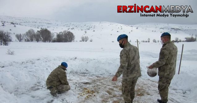 Erzincan’ın Refahiye ilçesinde komandolar, kar yağışı sonrası yiyecek bulmakta zorlanan