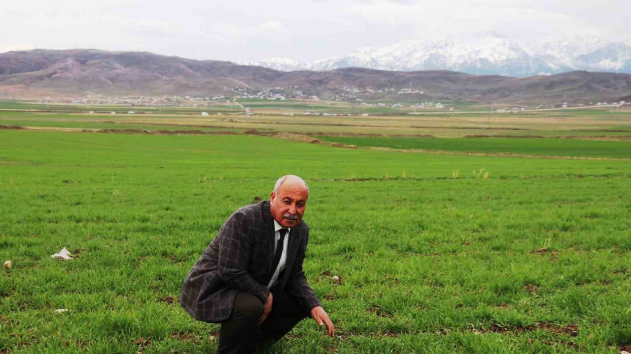 Van’da mart ve nisan aylarında etkili olan yağmur çiftçinin yüzünü