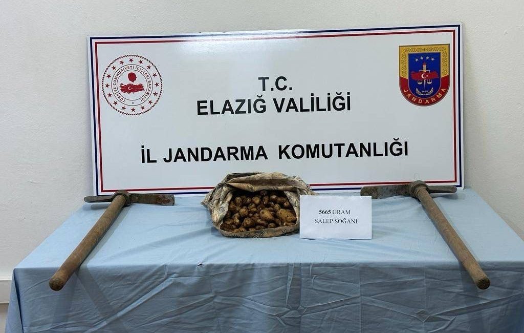 ELAZIĞ’DA JANDARMA EKİPLERİ TARAFINDAN YAPILAN ÇALIŞMADA, 5 KİLO 665 GRAM