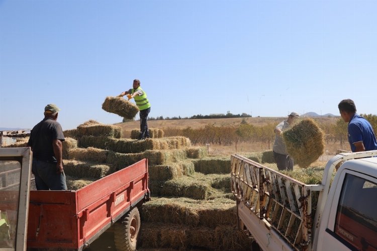 Eskişehir Büyükşehir Belediyesi, ağır ekonomik koşullar altında hayvancılıkla uğraşan üreticiler