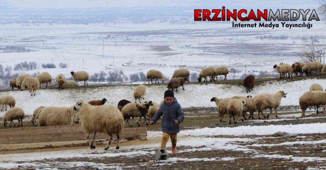 Erzincan Valiliği, yayla ve mera kullanımı ile ilgili genelge yayınladı.