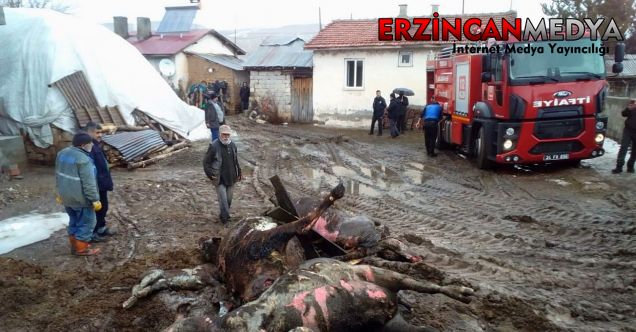 Erzincan’ın Tercan ilçesinde ahırda çıkan yangında 4 büyükbaş hayvan telef