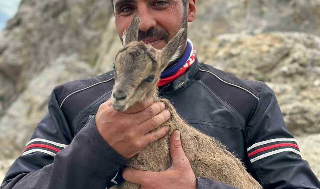 Erzincan’da doğa ve motosiklet