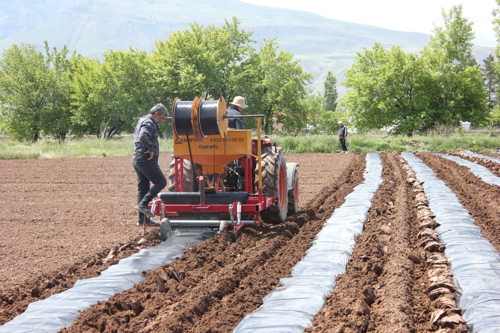 Erzincan’da sebzecilik sektörü üretimi genişliyor