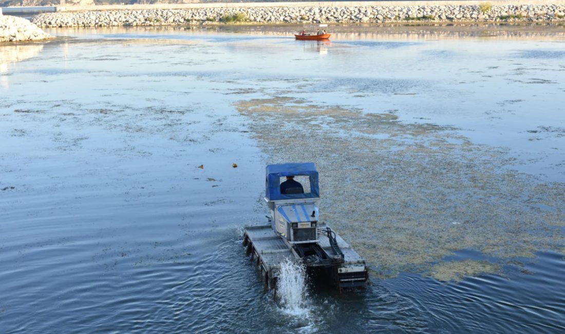   Eğirdir Gölü’nün temizlik çalışmaları devam ediyor…  