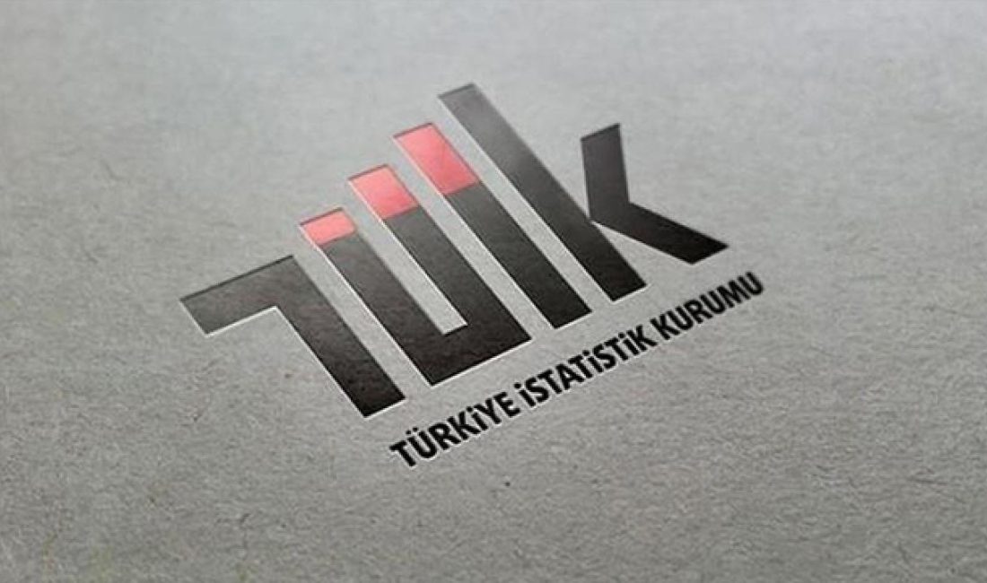 ANKARA-BHA Türkiye İstatistik Kurumu (TÜİK) temmuz ayı işsizlik verilerini açıkladı.