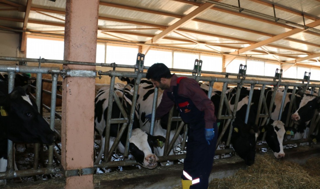 Erzincan, hayvan sağlığını koruma ve hastalıklarla mücadele konularında önemli adımlar