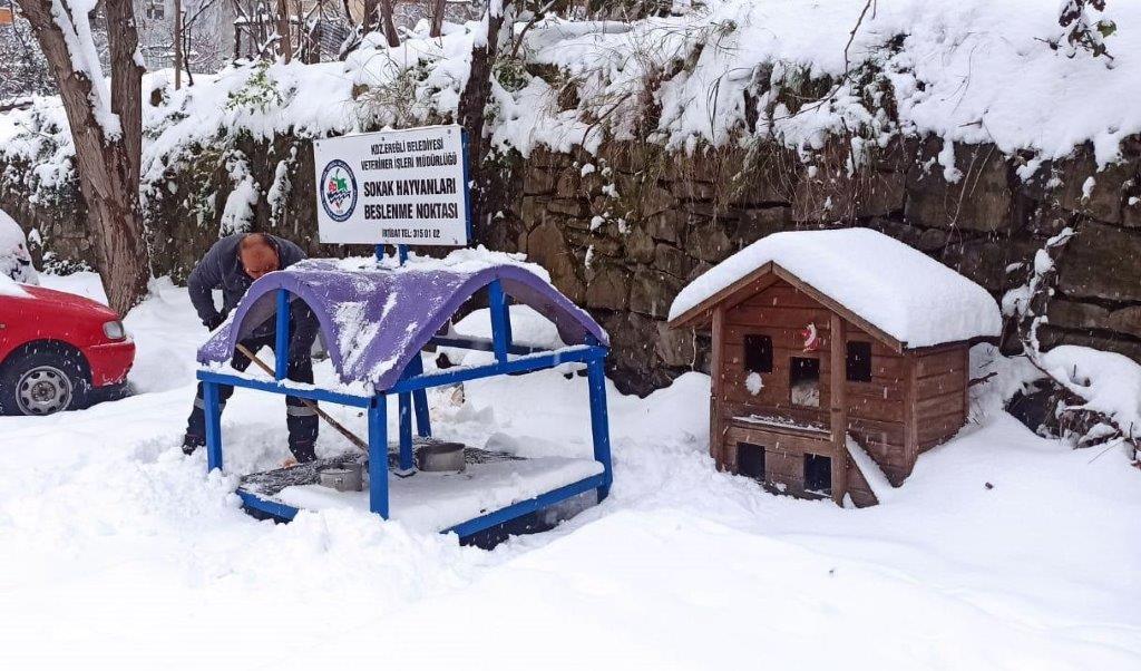 ZONGULDAK-BHA Kdz. Ereğli Belediyesi Veteriner İşleri Müdürlüğü, Kar yağışı nedeniyle