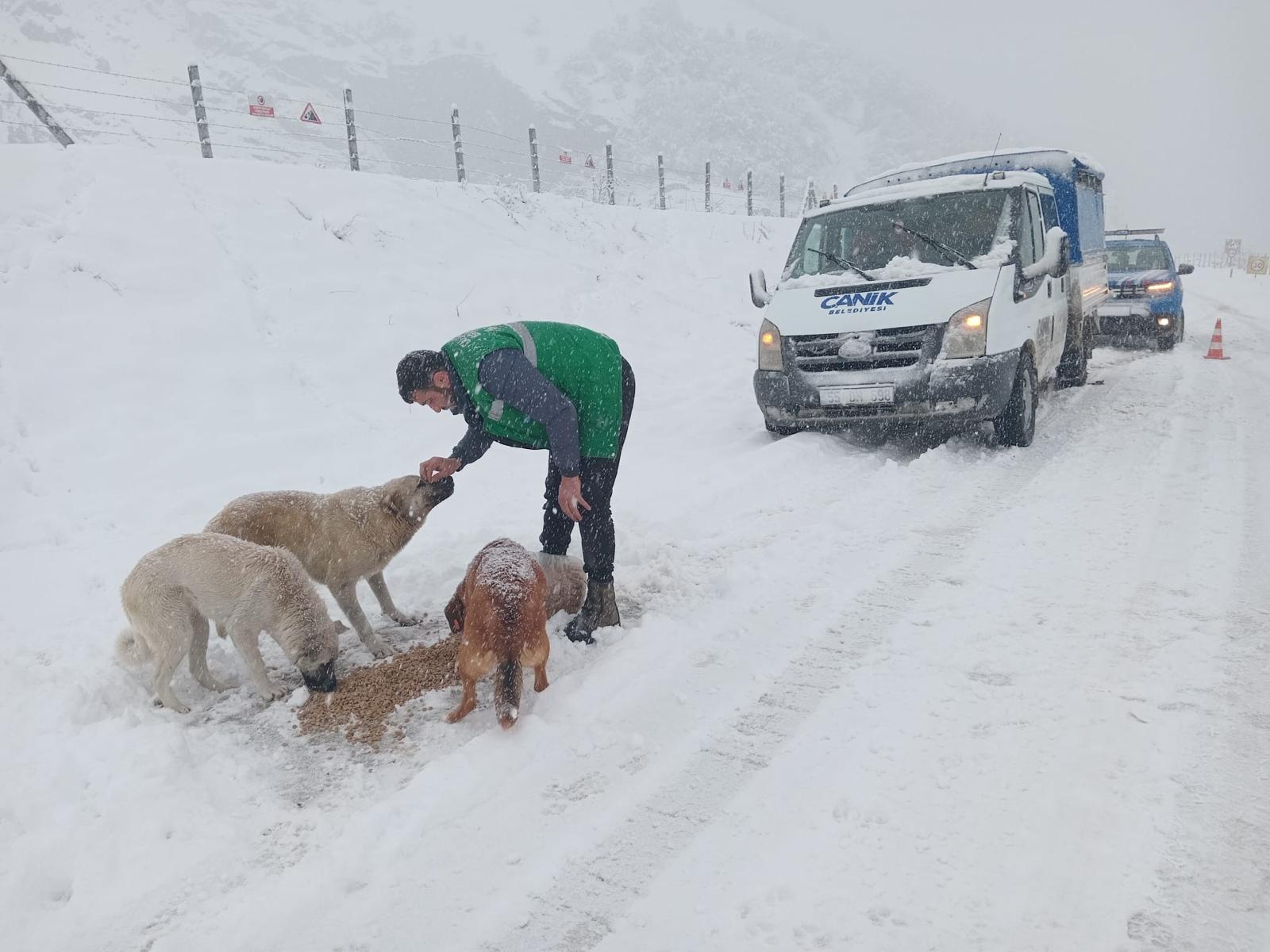 SAMSUN-BHA Canik Belediyesi, kar yağışının ve soğuk havanın etkili olduğu