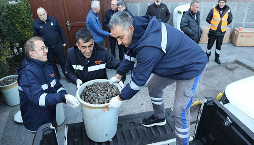 ANTALYA-BHA Antalya Büyükşehir Belediyesi Zabıta Ekipleri, Antalya Şehirlerarası Otobüs Terminali’nde