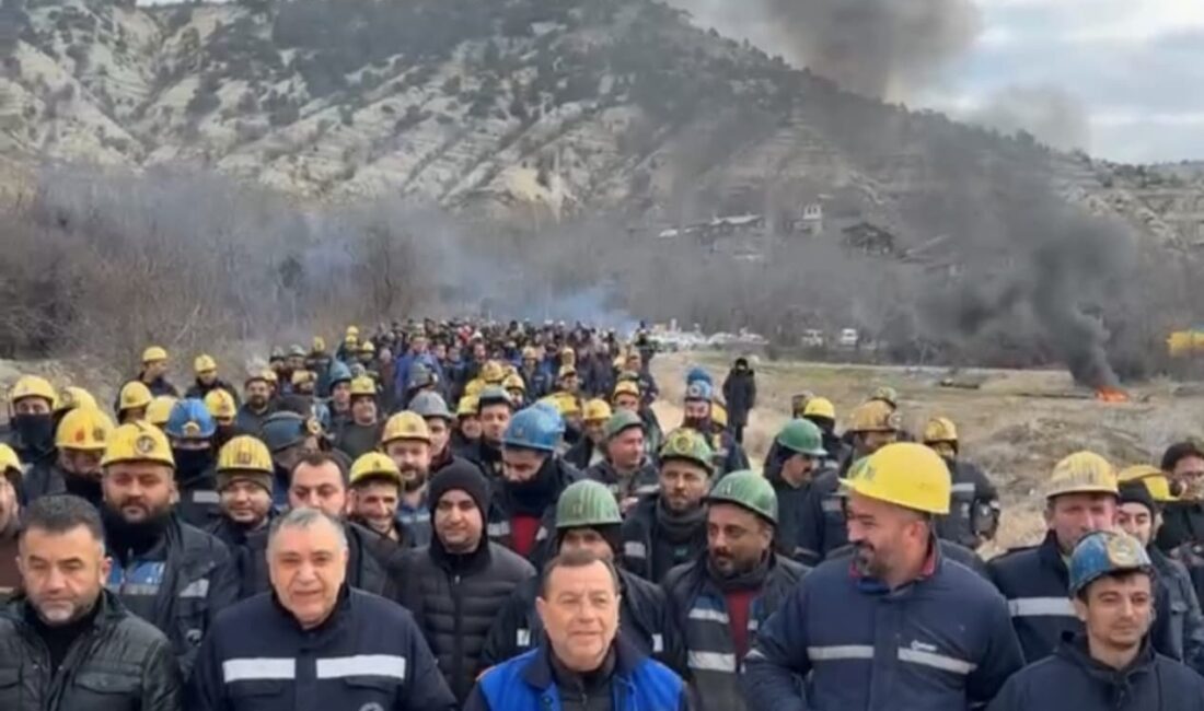 Hasan OLUM/ANKARA-BHA Ankara’nın Nallıhan İlçesine bağlı Çayırhan Mahallesi’nde bulunan Termik